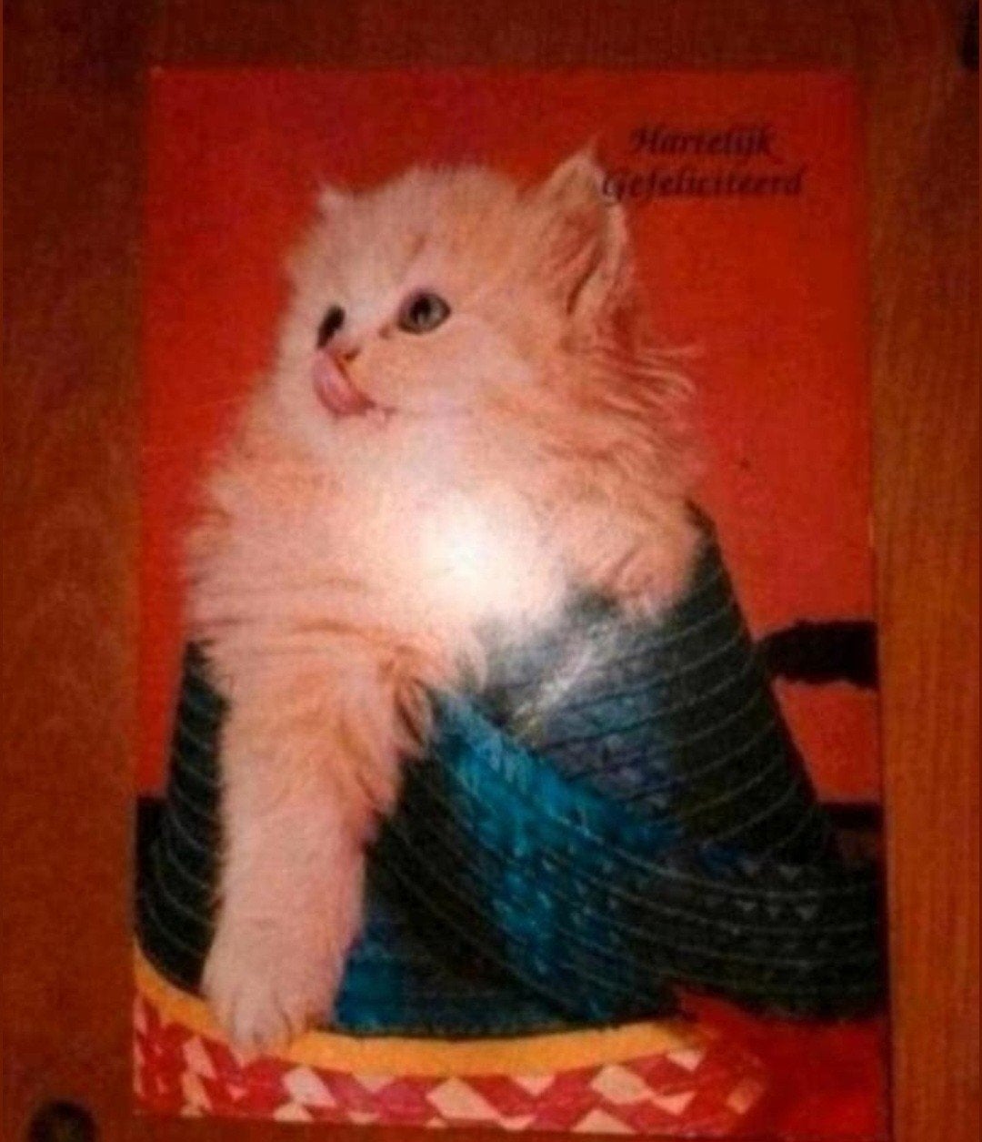 Grappige kattenkaart: Hartelijk Gefeliciteerd, Ophalen of Verzenden, Onbekend, Overige