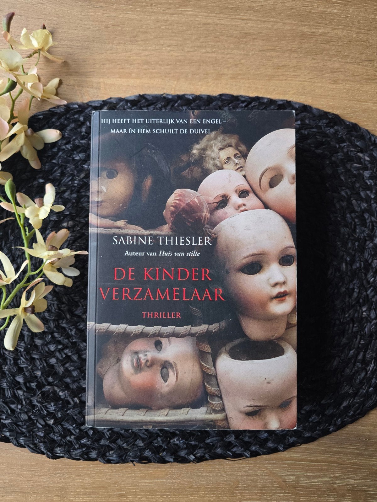 De Kindverzamelaar - Sabine Thiesler (Thriller), Boeken, Ophalen of Verzenden
