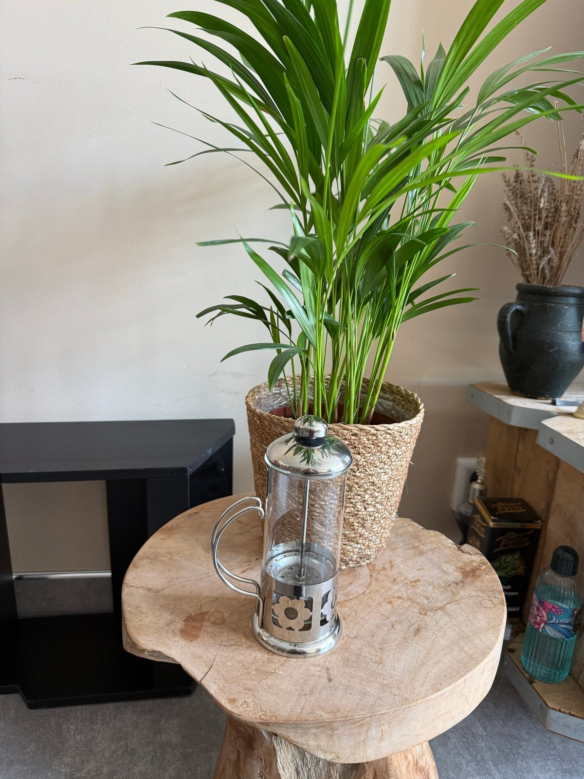 Nieuwe French Press Koffie- / Theemaker in doos, Overige modellen, Nieuw, Gemalen koffie, Ophalen of Verzenden