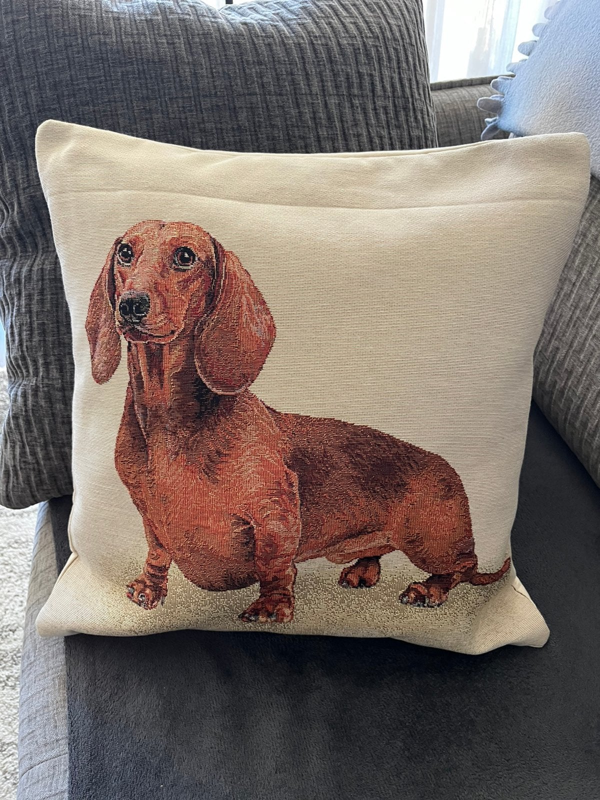 Nieuw kussen met teckel opdruk - 42x42 cm, Ophalen of Verzenden, Nieuw, Beige, Vierkant
