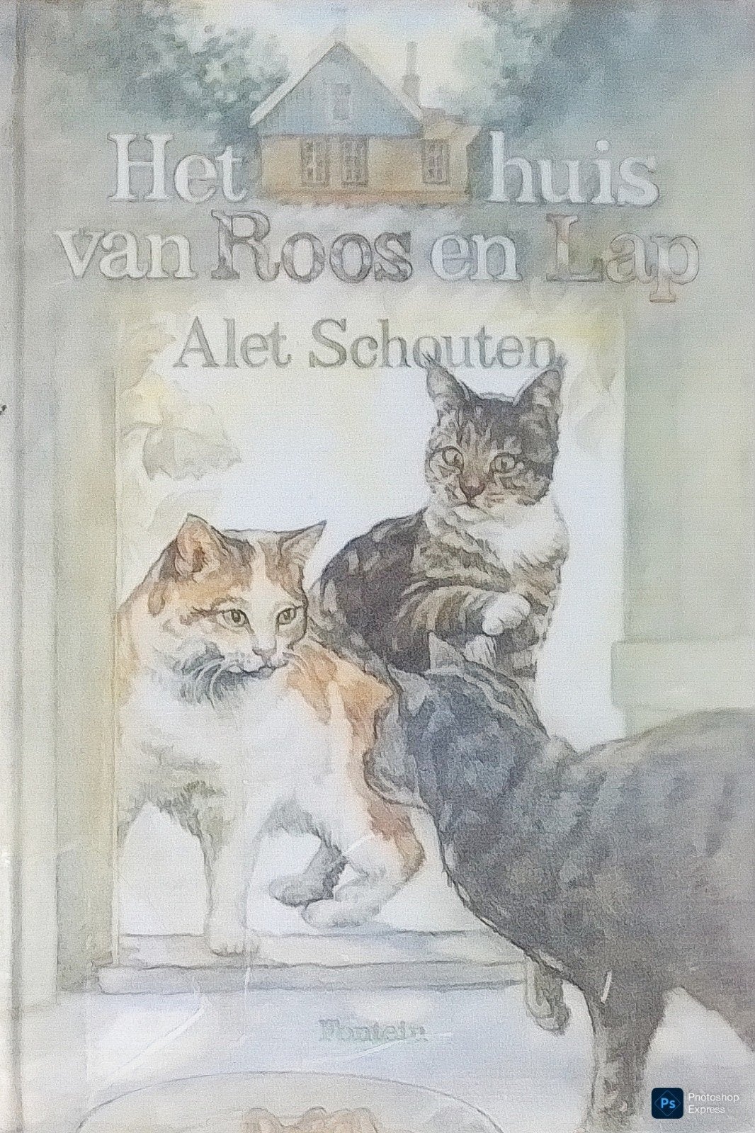 Het Huis Van Roos En Lap, Gelezen, Ophalen of Verzenden, Alex Schouten., Fictie