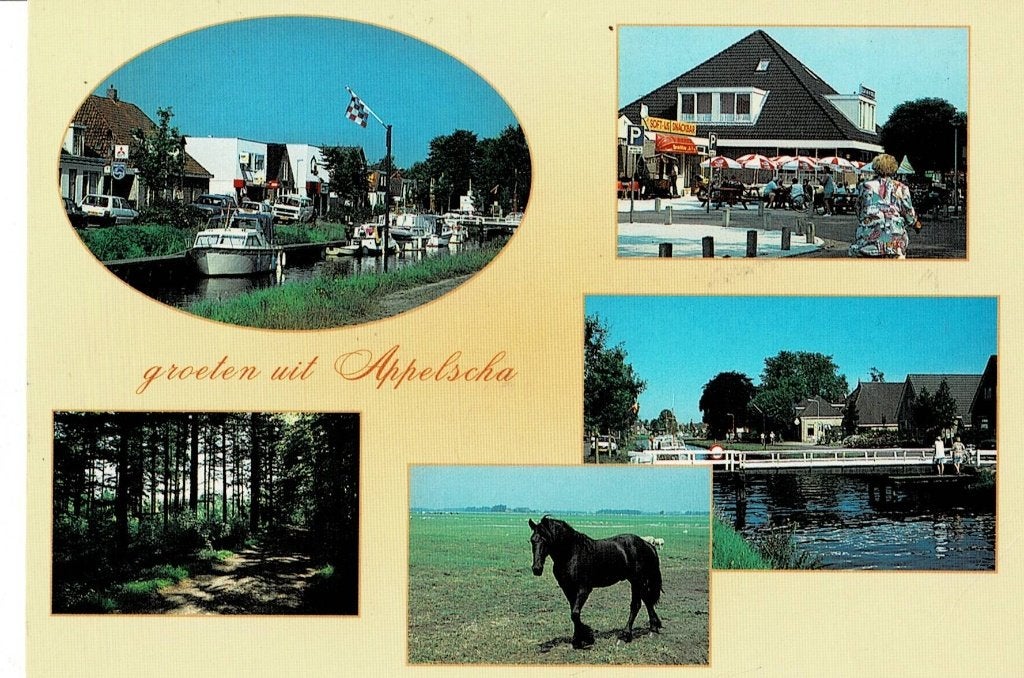 Appelscha, Ophalen of Verzenden, Gelopen, Friesland