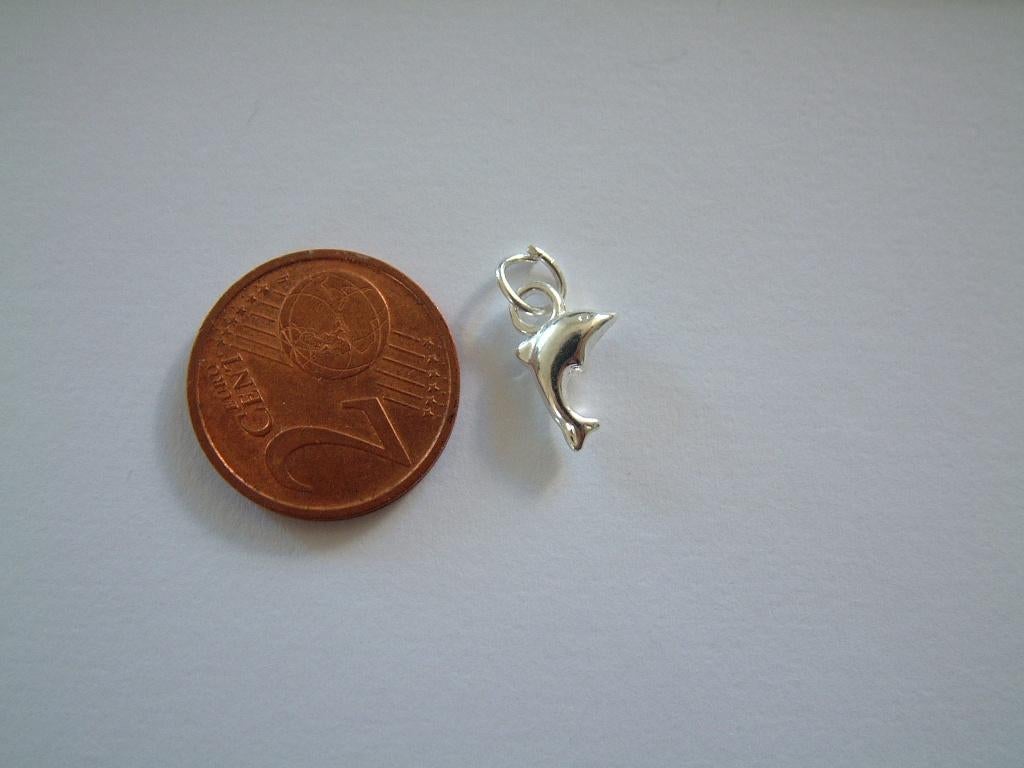 klein dolfijn dolfijntje hangertje hanger bedeltje, Ophalen of Verzenden, Nieuw, Zilver, Overige materialen