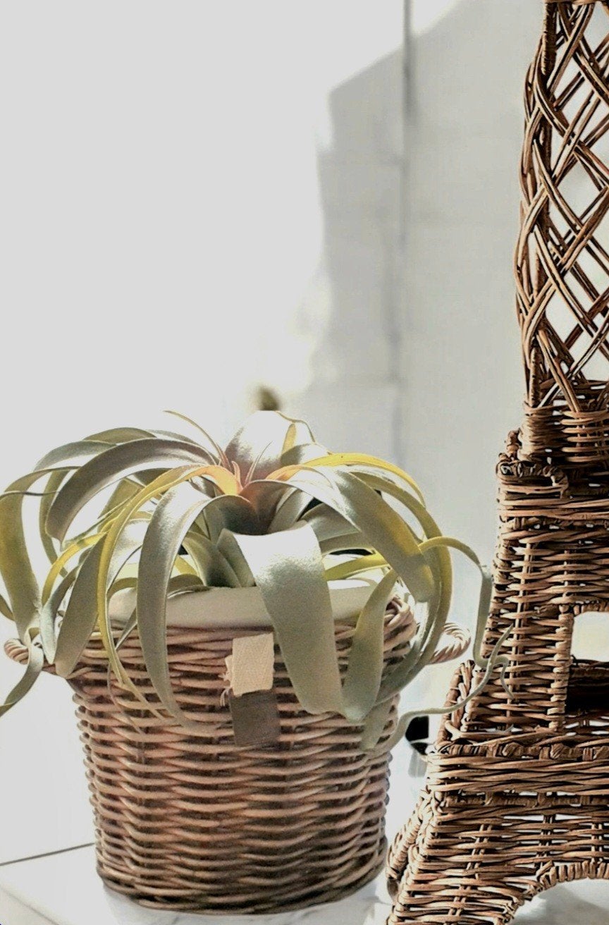 Rivièra maison rr eiffeltoren & Rivièra maison bloempot, Huis en Inrichting, Woonaccessoires | Schalen en Manden, Ophalen of Verzenden