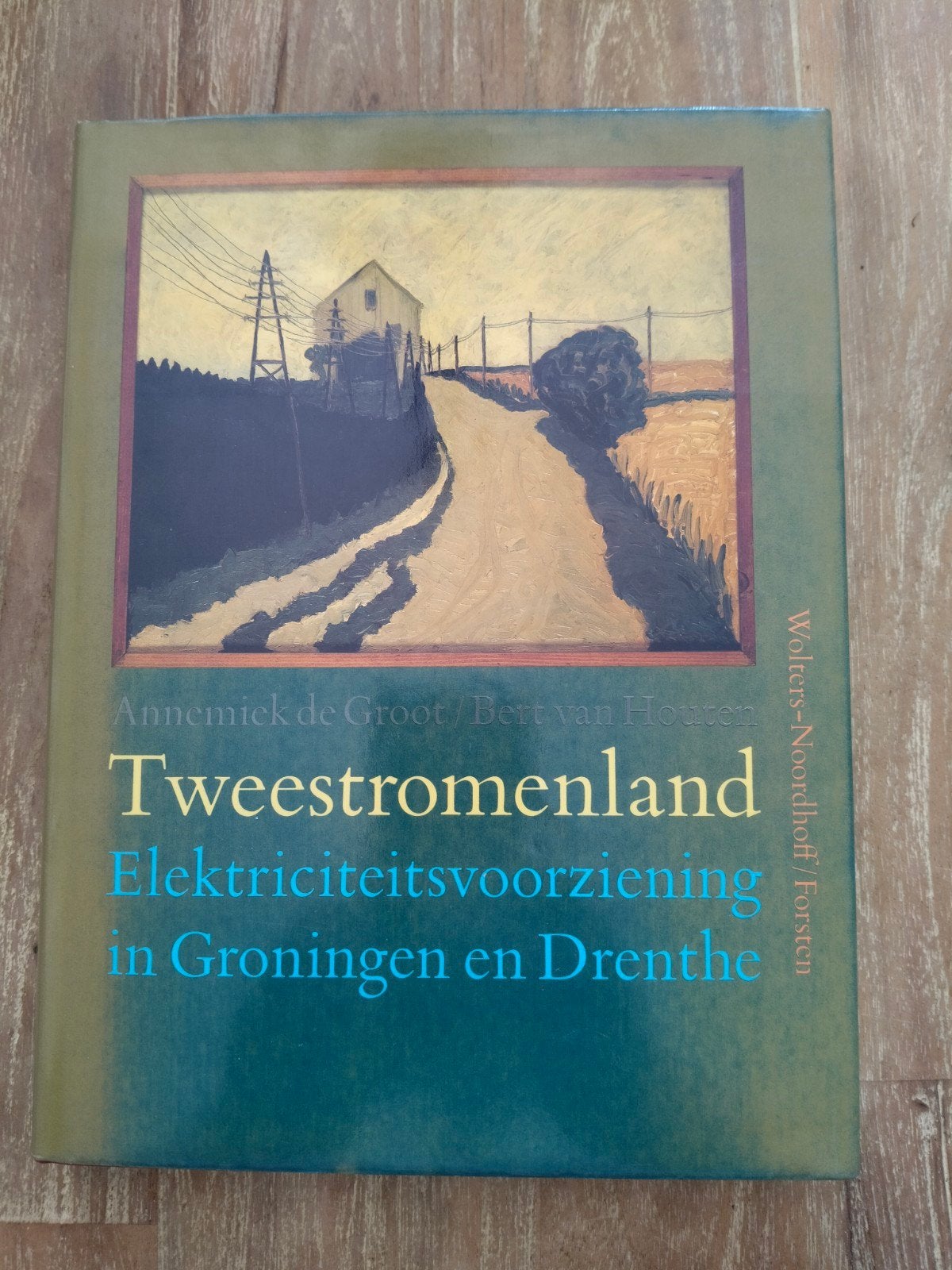 Tweestromenland: Elektriciteitsvoorziening Groningen/Drenthe, Boeken, Verzenden, Zo goed als nieuw, Annemiek de Groot, Bert van Houten