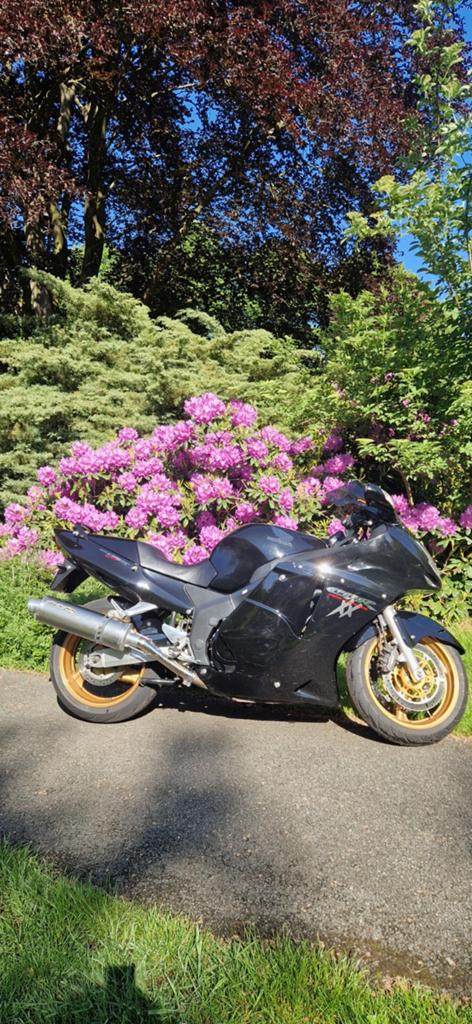 Honda CBR 1100 XX Super Blackbird - Sportieve Toermotor, Motoren, Motoren | Honda, Sportuitlaat, 4 cilinders, Motorrijbewijs A