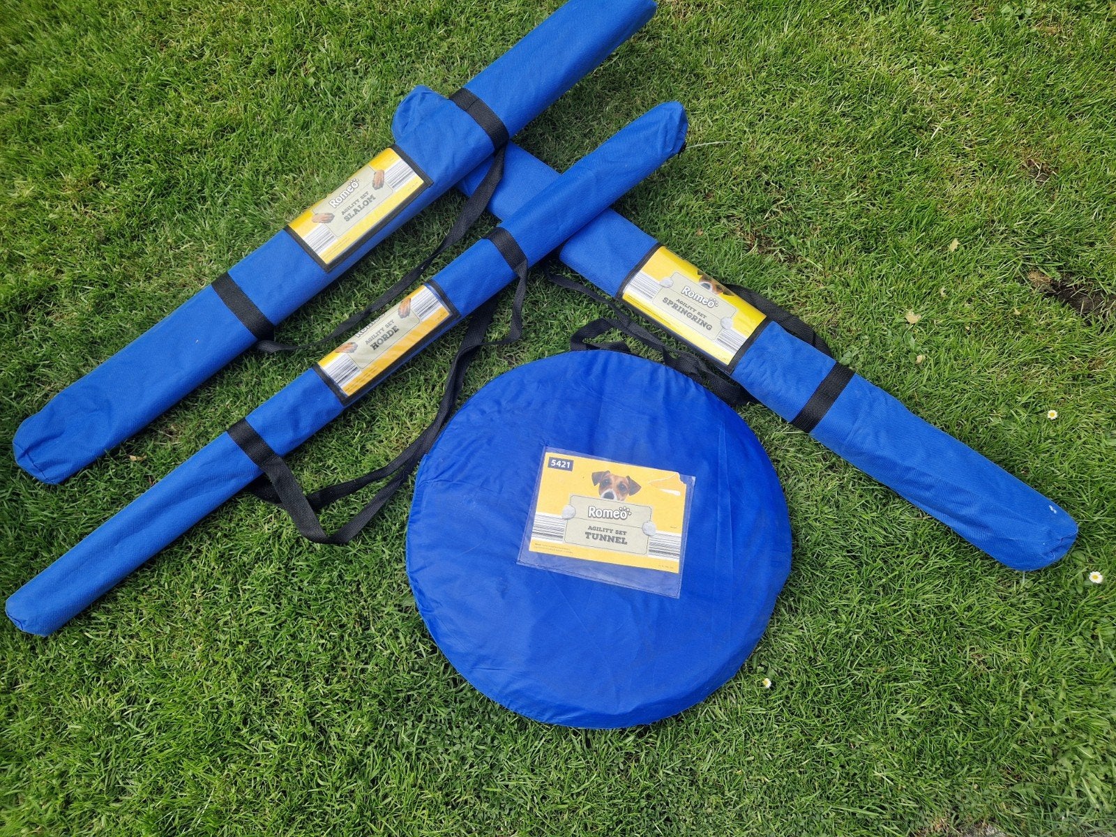 Nieuw: Honden training agility set, Overige merken, Ophalen, Nieuw, Hondenspeelgoed