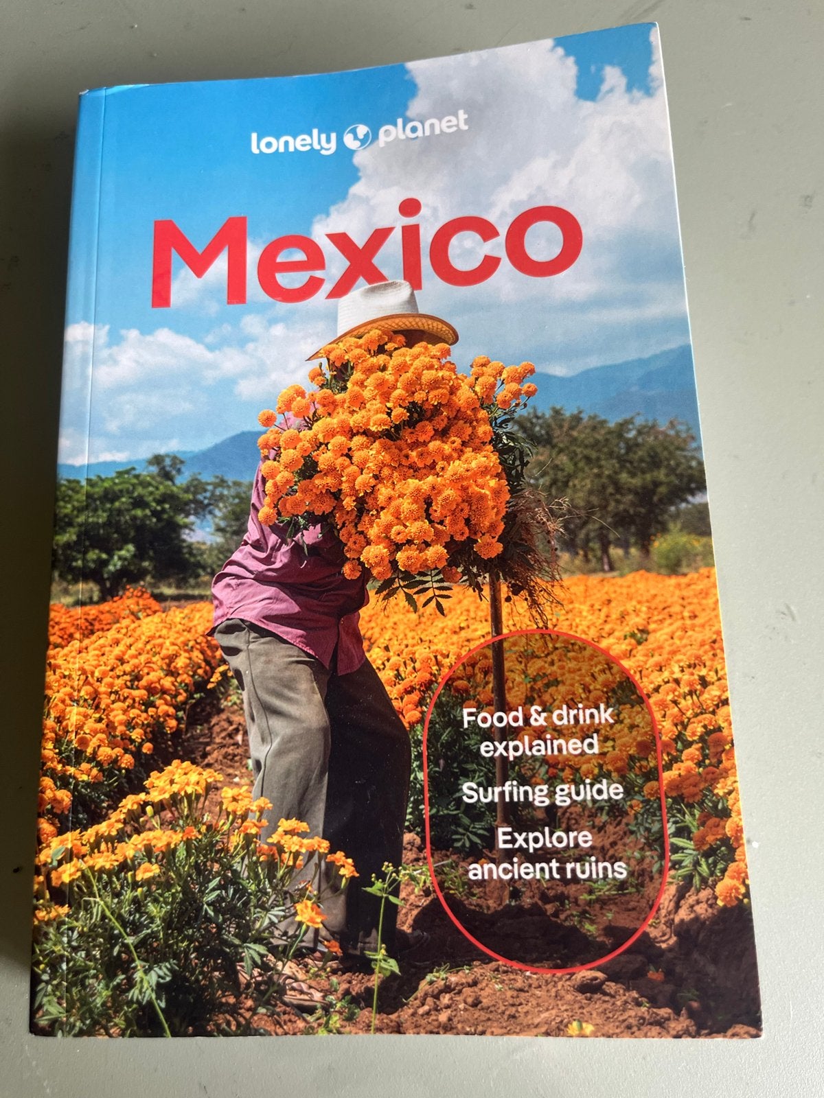 Lonely Planet Mexico Reisgids - Ontdek de cultuur, Boeken, Reisgidsen, Lonely Planet, Nieuw, Reisgids of -boek, Midden-Amerika