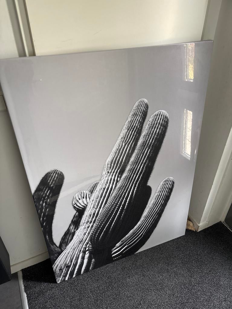 Grote zwart-wit cactus canvas schilderij 90x125 cm, Ophalen of Verzenden