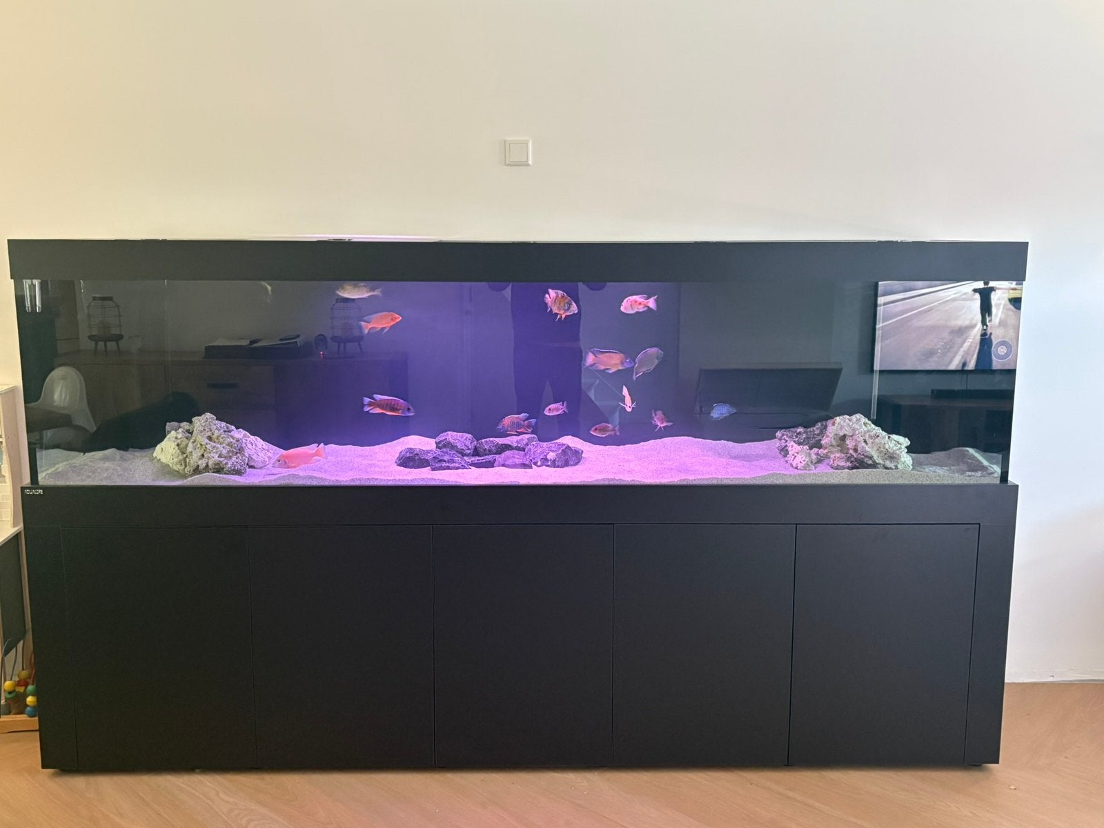 Aqualife -FELIX-270x60x70-150-cm-aquarium-meubel, Ophalen, Zo goed als nieuw, Gevuld zoetwateraquarium