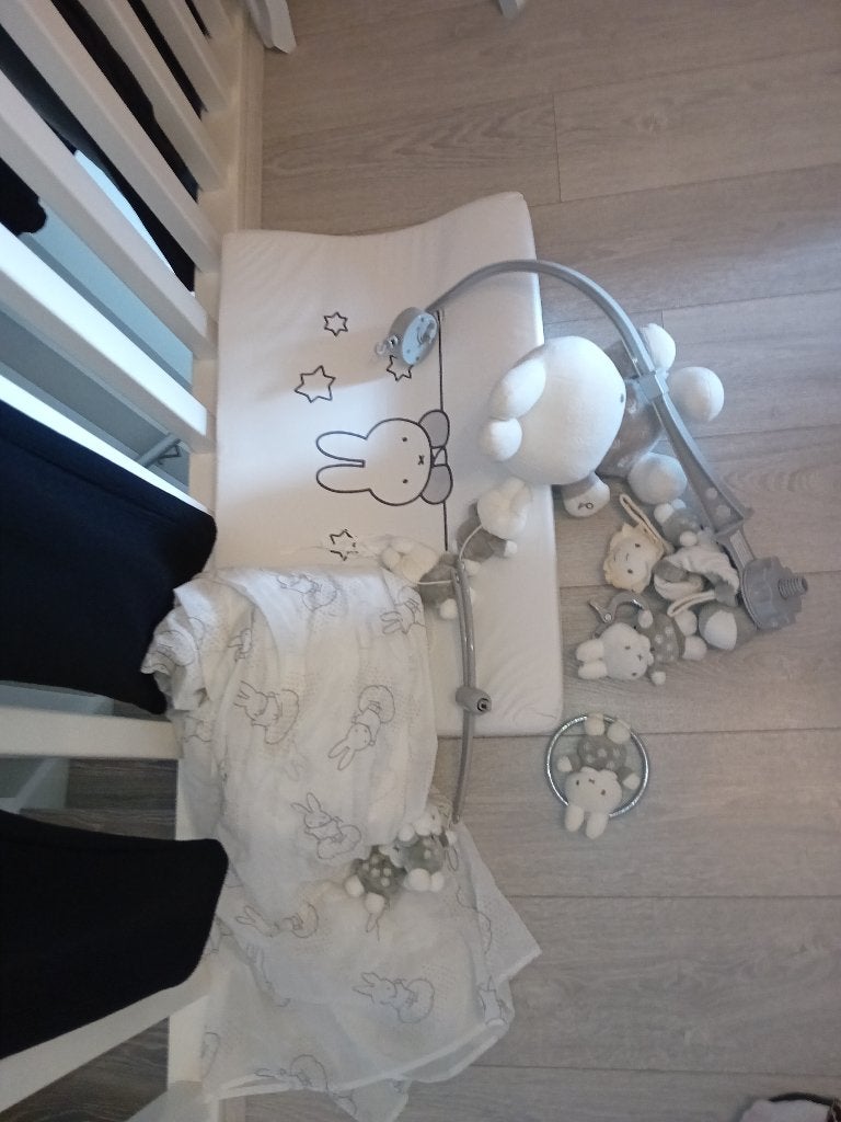 Nijntje, Nijntje, Ophalen of Verzenden, Gebruikt, Konijn
