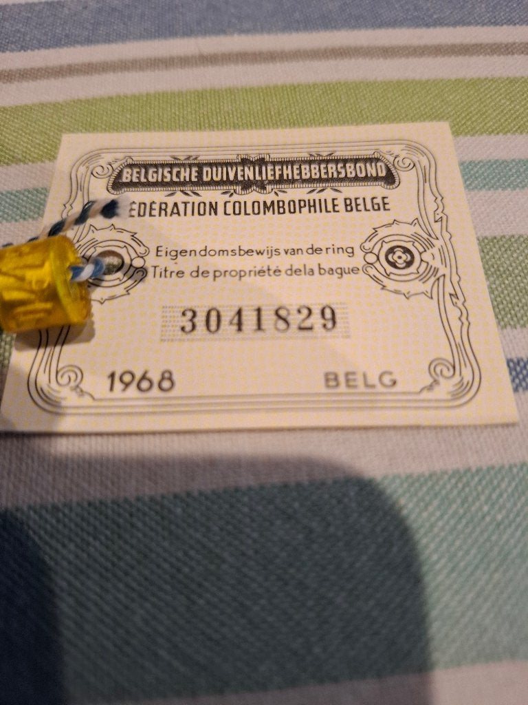 Ring 1968 belg, Mannelijk, Postduif