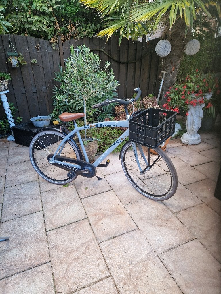Herenfiets, Terugtraprem, Gebruikt, Versnellingen, 53 tot 57 cm