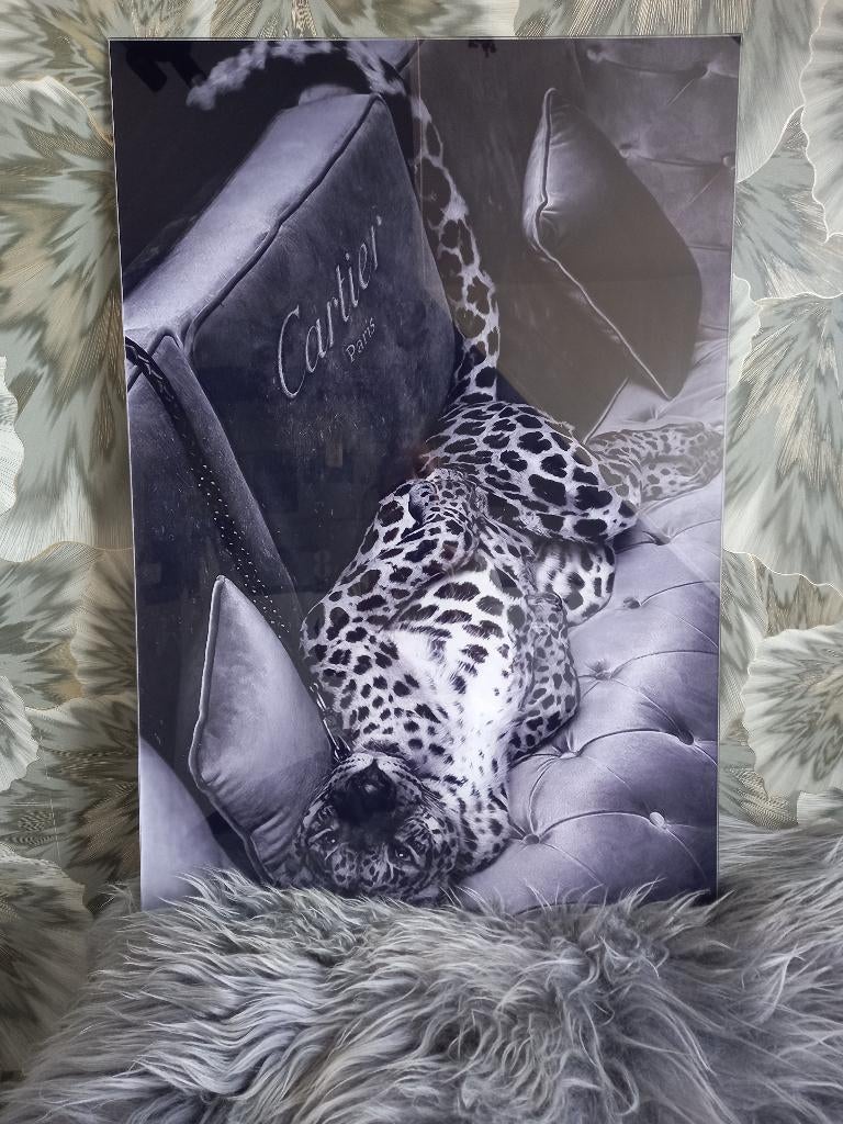 Prachtig schilderij Cartier, Huis en Inrichting, Ophalen, Zo goed als nieuw, 50 tot 75 cm, Schilderij