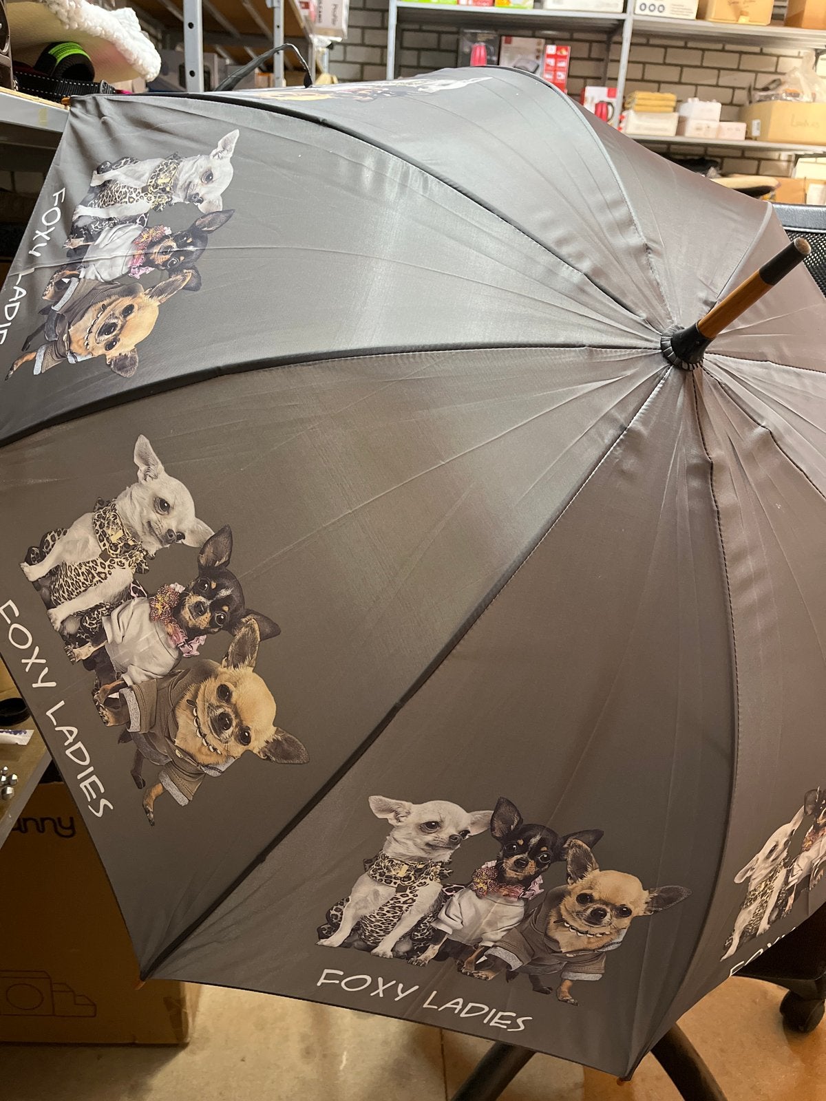 Nieuw Paraplu met Honden Design - Foxy Ladies, Nog slechts enkele op voorraad, Op=op, ., Nieuw