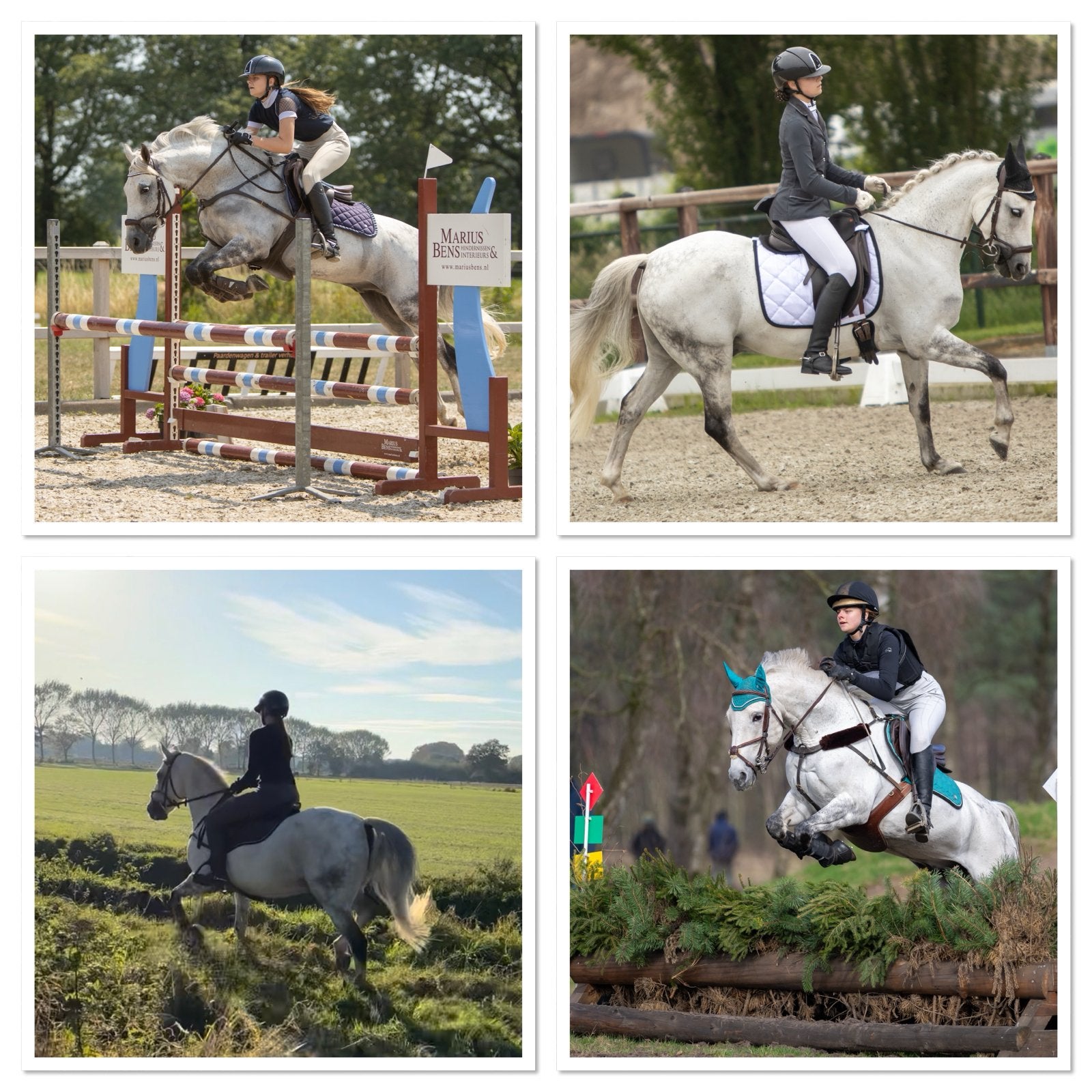 Superleuke leermeester sportpony M dress & springen, Met stamboom, Ruin, M, Springpony