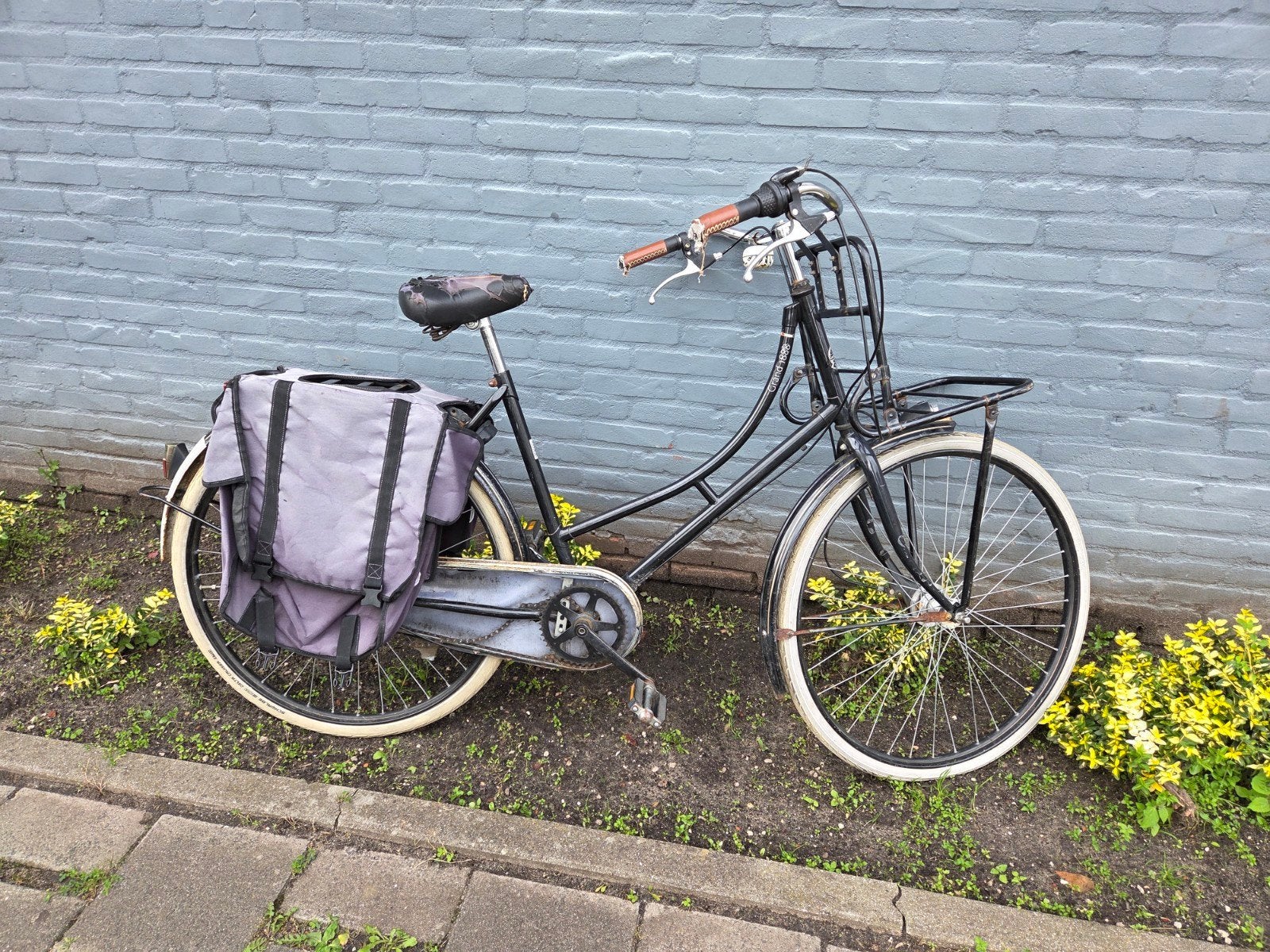 Grand 1888 Damesfiets met voordrager en fietstassen, Fietsen en Brommers, Fietsen | Dames | Damesfietsen, Terugtraprem, Versnellingen