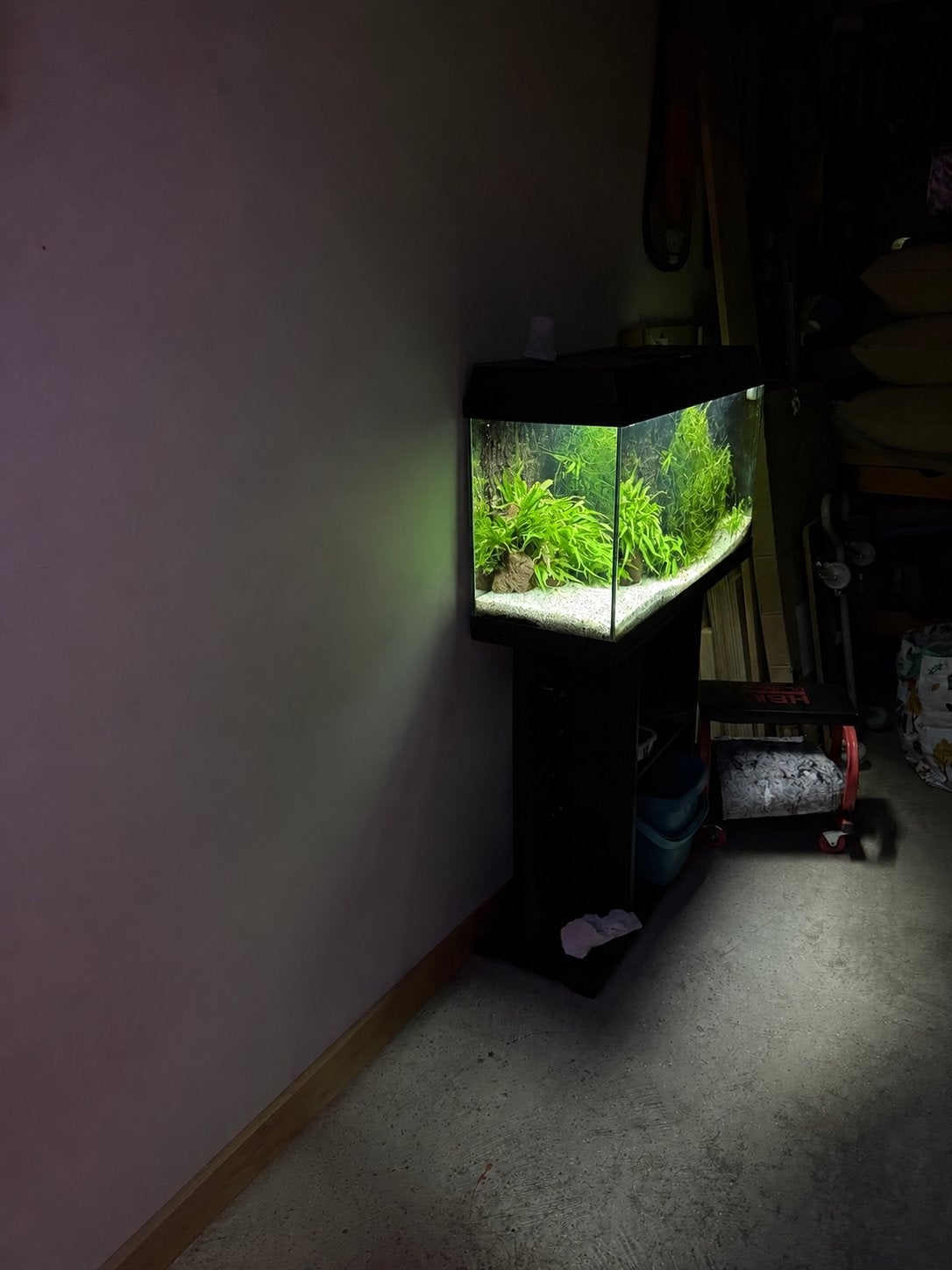 Juwel Primo 110 liter met meubel en toebehoren, Ophalen, Gebruikt, Leeg aquarium, Verwarming