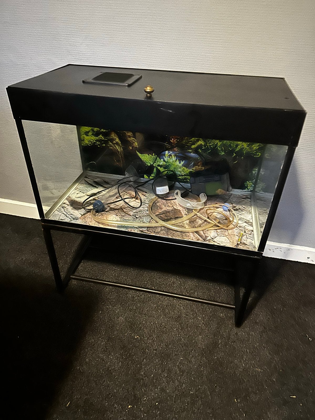 Aquarium met tafelpoot, Ophalen, Gebruikt, Leeg aquarium