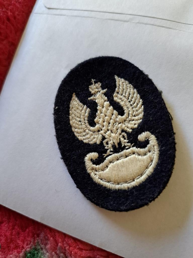 ww2. Poolse adelaar op de baret.Origineel., Ophalen of Verzenden, Nederland, Embleem of Badge