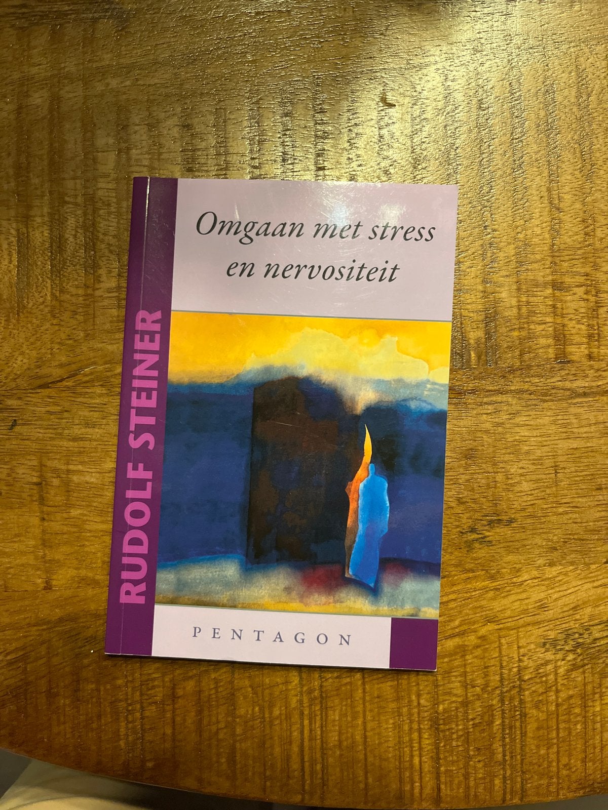 Omgaan met stress en nervositeit - Rudolf Steiner, Boeken, Ophalen of Verzenden, Zo goed als nieuw, Klinische psychologie