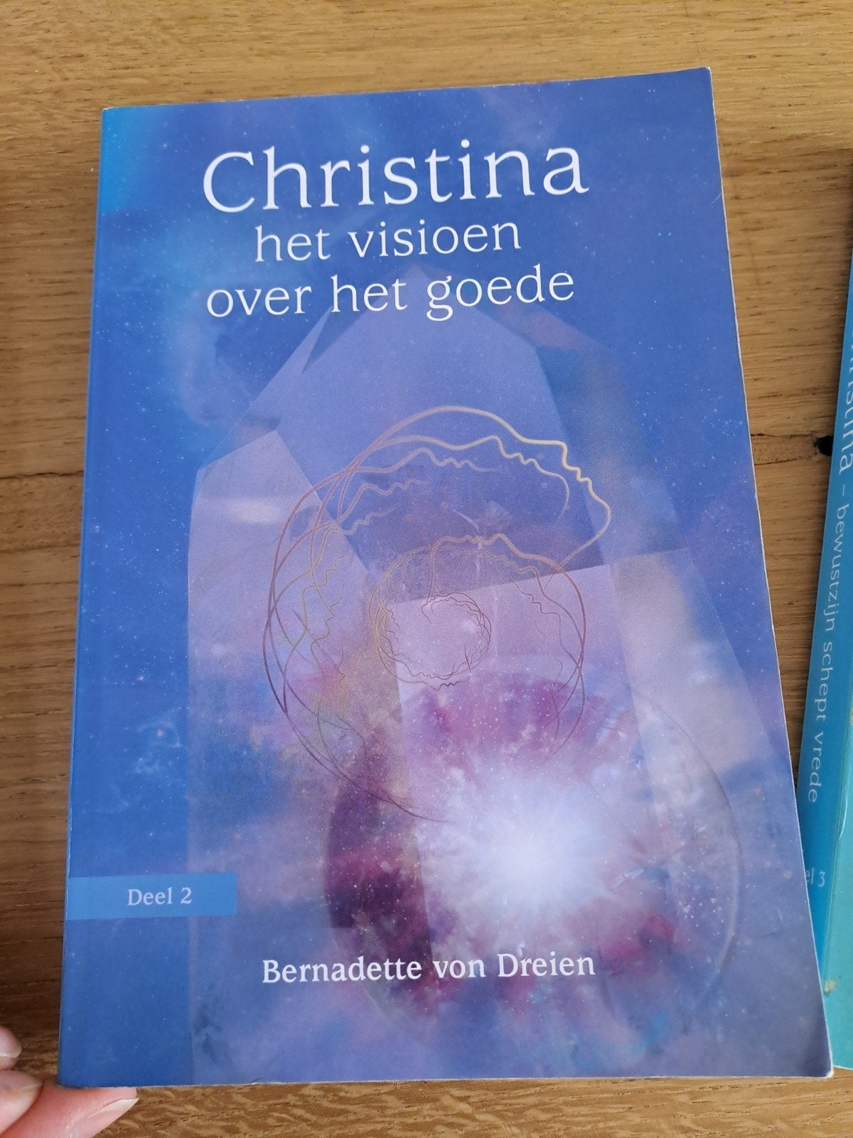 Bernadette von Dreien - Het visioen over het goede, Ophalen of Verzenden, Zo goed als nieuw, Spiritualiteit algemeen, Achtergrond en Informatie