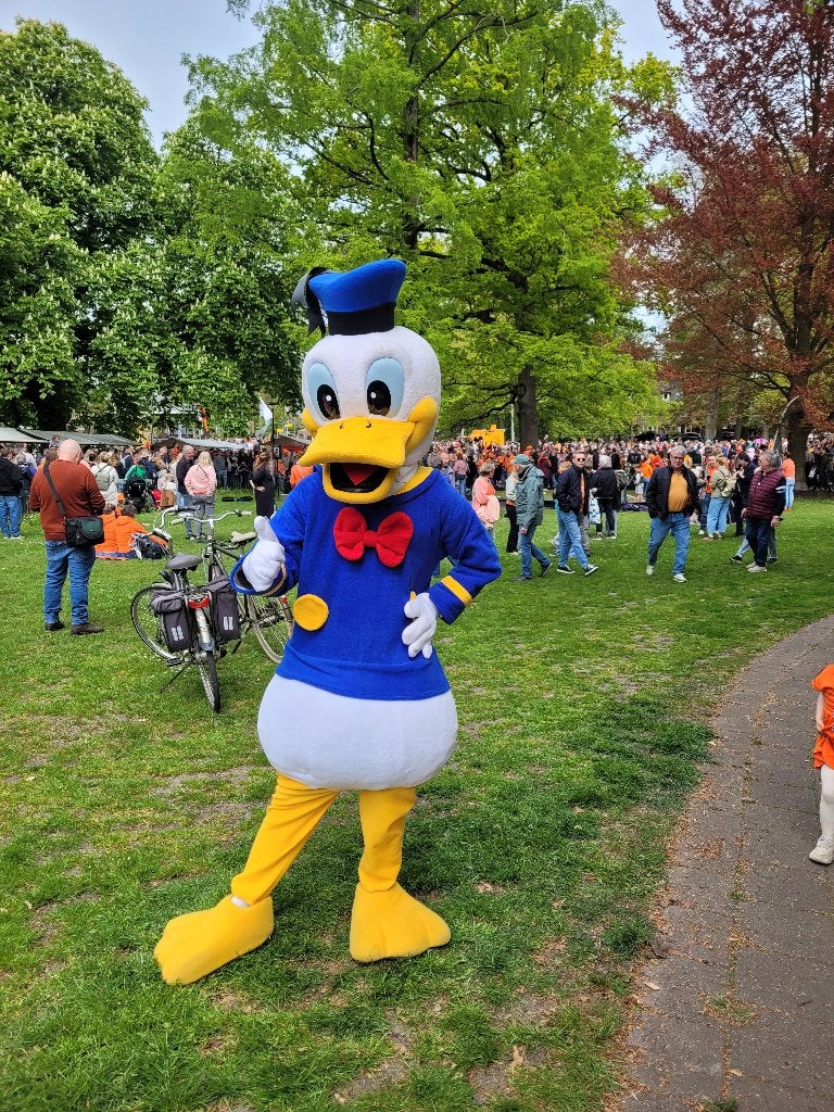 Donald Duck Mascotte, Entertainment, Kinderfeestje, Ophalen of Verzenden, Nieuw, Verjaardag