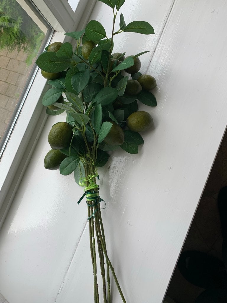 Kunsttak Lemon 80 cm groen 6 takken, Groen, Ophalen of Verzenden, Zo goed als nieuw, Kunststof