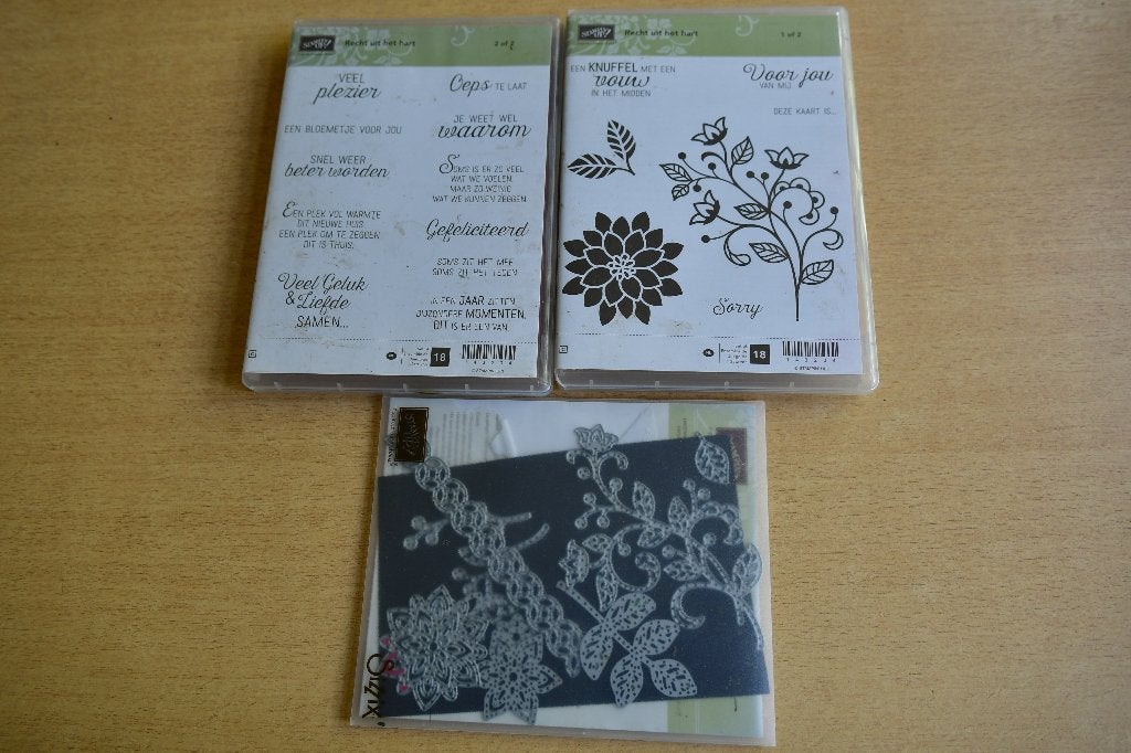 stampin Up Bundels (GROOT), Ophalen of Verzenden, Zo goed als nieuw, Clearstamp