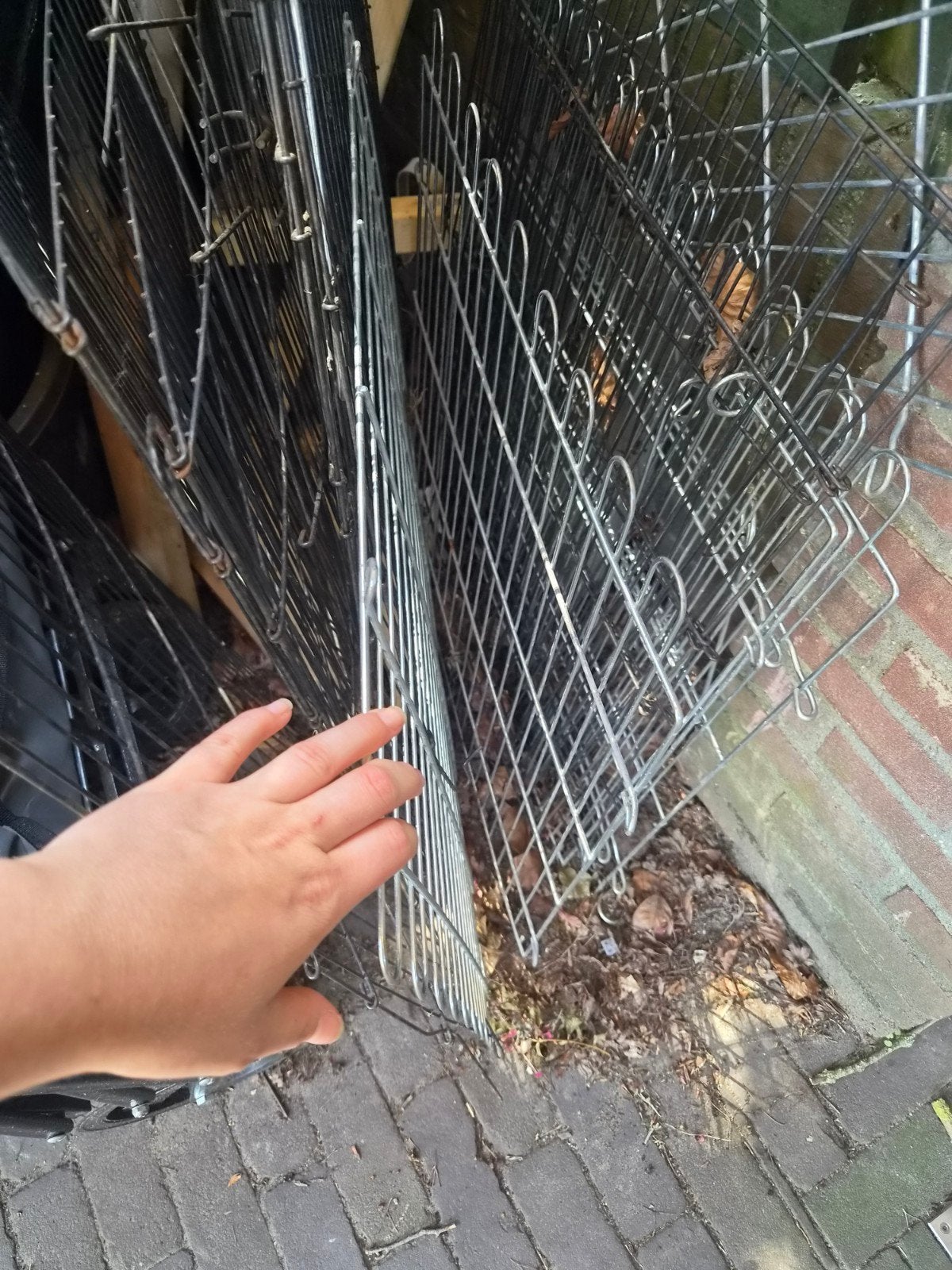 Konijnenren, Tuin en Terras, Gaas en Draad, Ophalen, Nieuw, Minder dan 10 meter