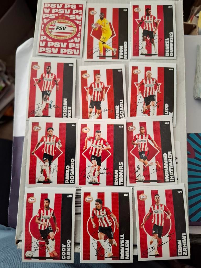 PSV, Ophalen of Verzenden, Nieuw, PSV, Poster, Plaatje of Sticker