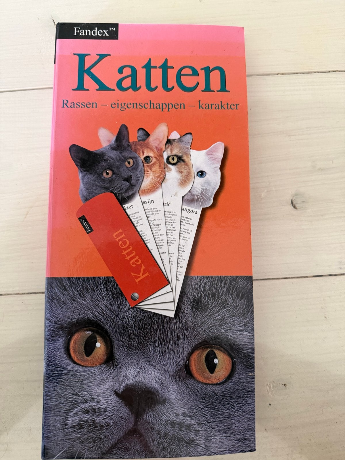 Fandex Katten: Rassen, eigenschappen, karakter (schroef mist, Boeken, Dieren en Huisdieren, Ophalen of Verzenden, Gelezen, Katten
