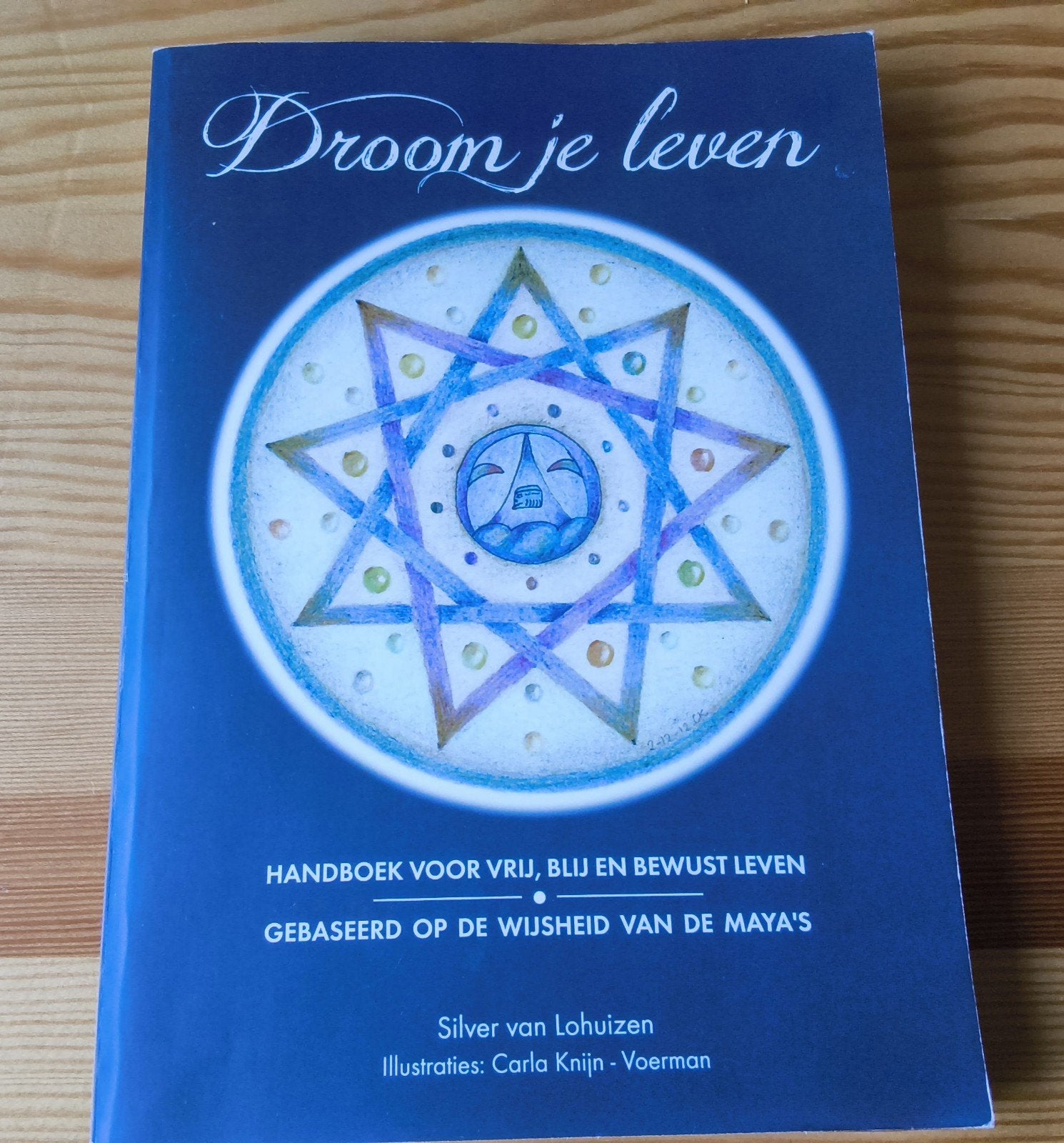 Droom je leven - Handboek voor vrij, blij en bewust leven, Achtergrond en Informatie, Spiritualiteit algemeen, Ophalen of Verzenden
