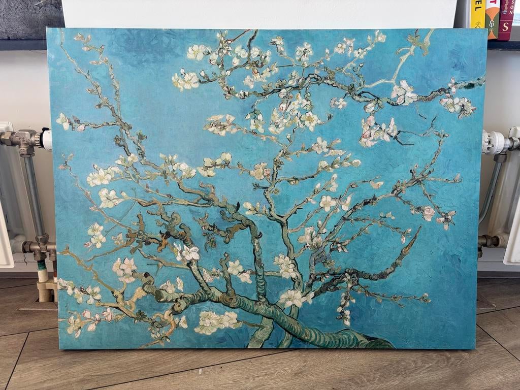 Canvas Amandelbloesem - Vincent Van Gogh, Ophalen