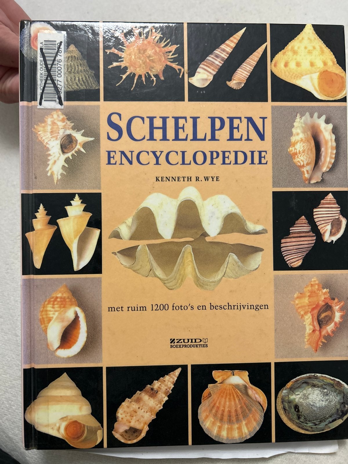 Schelpenencyclopedie - Kenneth R. Wye, Boeken, Ophalen of Verzenden, Gelezen, Dieren, Los deel
