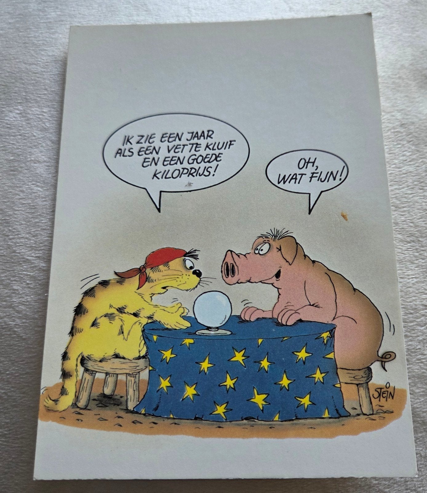 Grappige Ansichtkaart Kat en Varken - Stein & Koch, Verzenden, 1980 tot heden, Ongelopen, Overige thema's