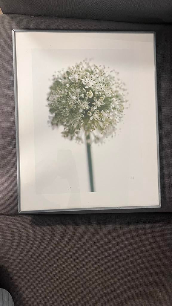 Zilverkleurige metalen fotolijst / wissellijst met bloem, Ophalen, Gebruikt, Metaal of Aluminium, Minder dan 50 cm
