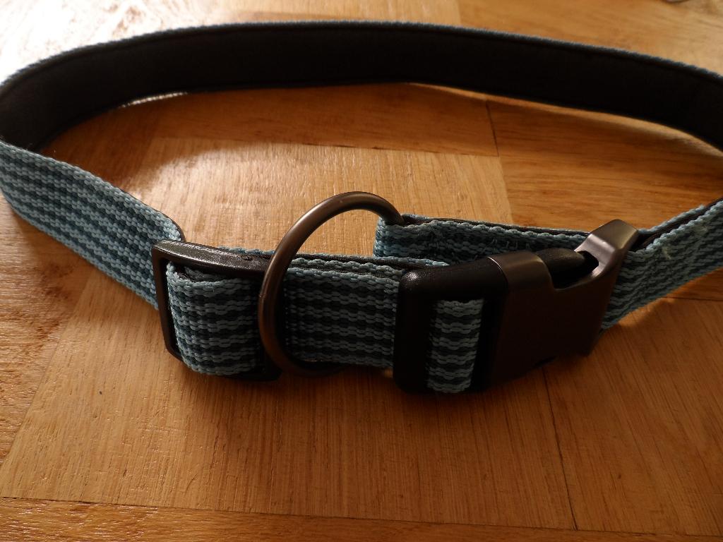 honden halsband nieuw ,halsband voor hond nieuw,verstelbaar, Ophalen of Verzenden, Nieuw