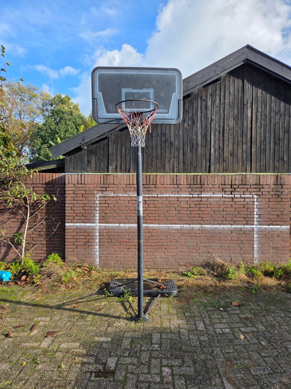 Lifetime Basketbalpaal met bord en ring - Gebruikt, Sport en Fitness, Ophalen, Gebruikt, Ring, Bord of Paal