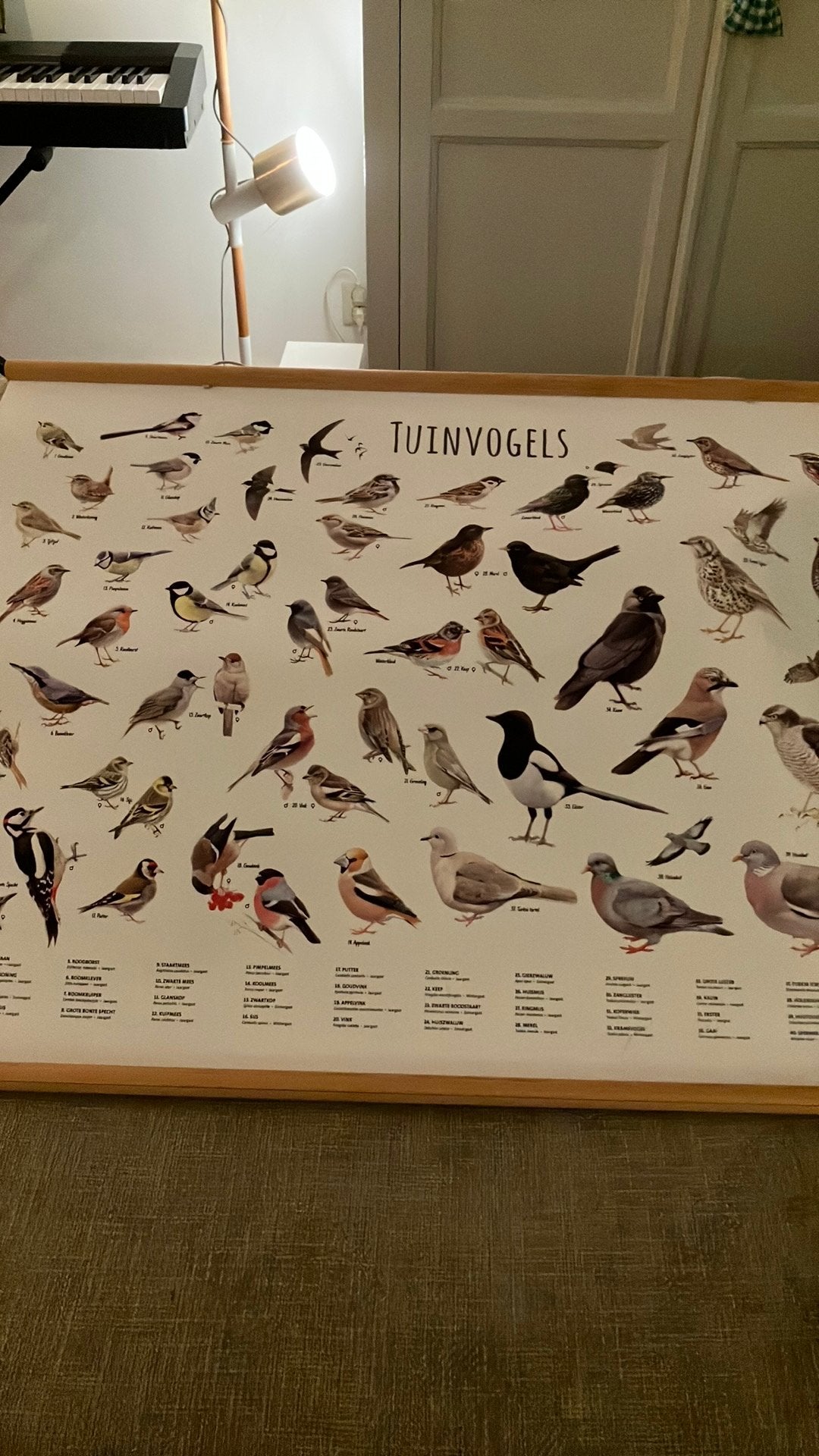 Vogelplaat plaat met vogels uit de tuin, Ophalen of Verzenden, Zo goed als nieuw, Schilderij