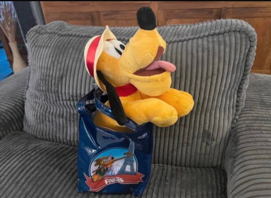 Nieuw Disney hond Pluto knuffel in tas Disneyland Paris, Verzamelen, Ophalen of Verzenden, Zo goed als nieuw