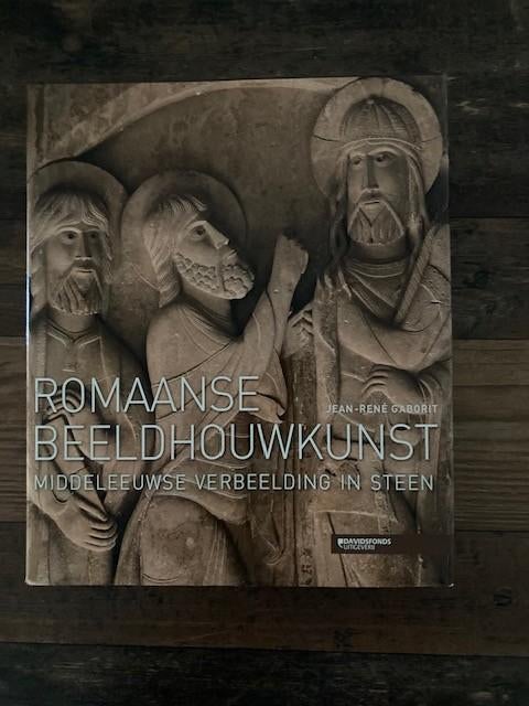 Groot kunstboek Romaanse Beeldhouwkunst – middeleeuwse kunst, Boeken, Kunst en Cultuur | Beeldend, Ophalen of Verzenden, Zo goed als nieuw