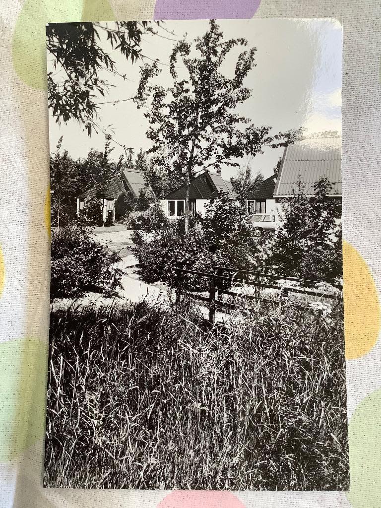 Stellendam, campeercentrum ‘Onder de Molen’ ., Verzamelen, Ansichtkaarten | Nederland, Ophalen of Verzenden, 1960 tot 1980, Zuid-Holland