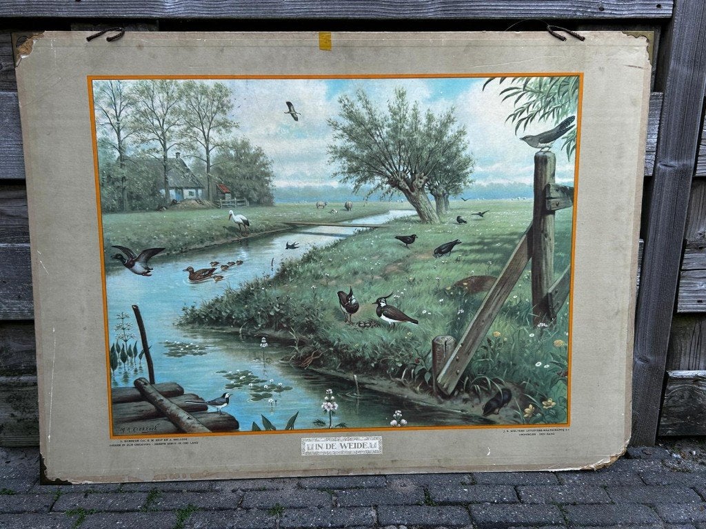 In de weide, Antiek en Kunst, Ophalen of Verzenden, Natuur en Biologie