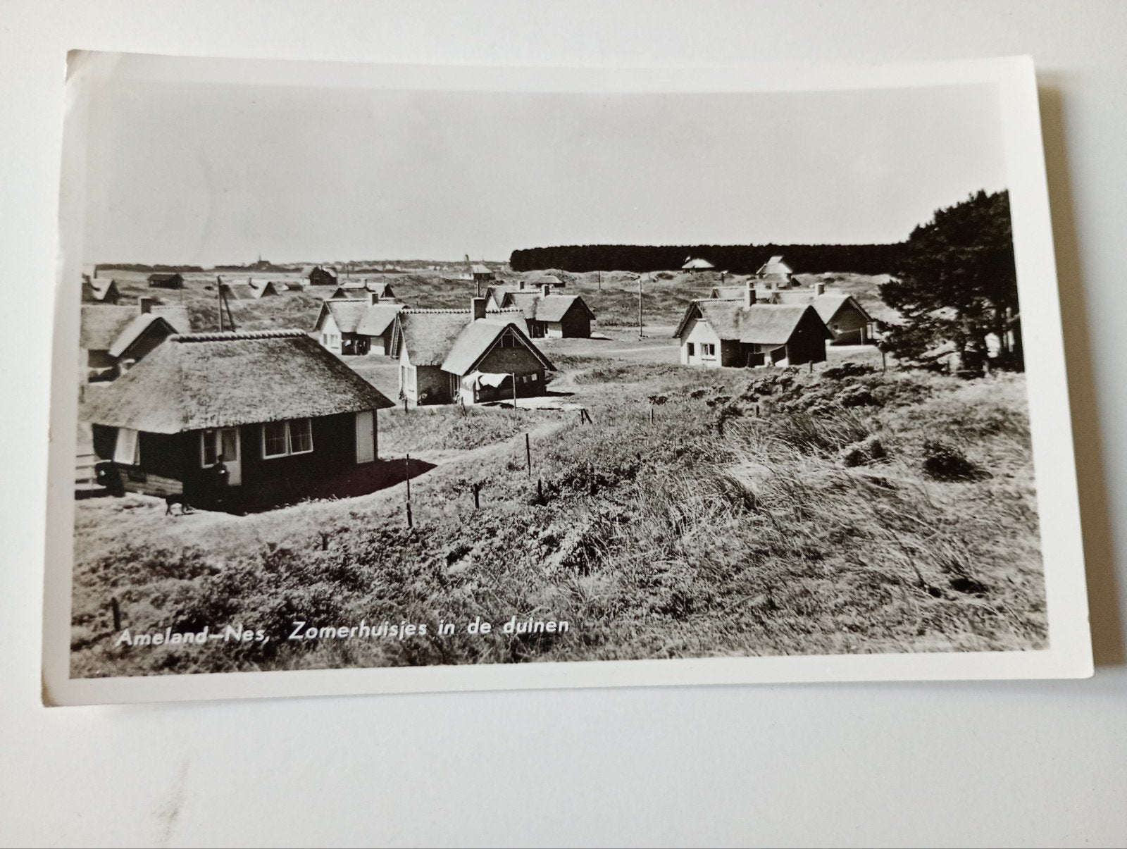 Ameland Nes Zomerhuisjes in de Duinen 1959, Ophalen of Verzenden, 1940 tot 1960, Gelopen, Waddeneilanden