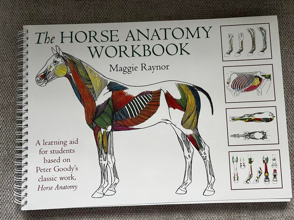 The Horse Anatomy Workbook - Maggie Raynor, Ophalen of Verzenden, Beta, Zo goed als nieuw, HBO