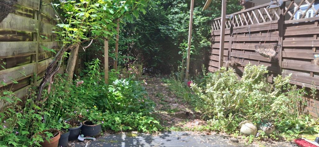 Gezocht tuinman, Ophalen of Verzenden, Overige soorten, Volle zon