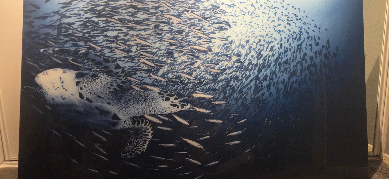 Prachtige schilderij  met schildpad en vissen 1x1,81, Ophalen, Zo goed als nieuw, Schilderij, 100 tot 125 cm