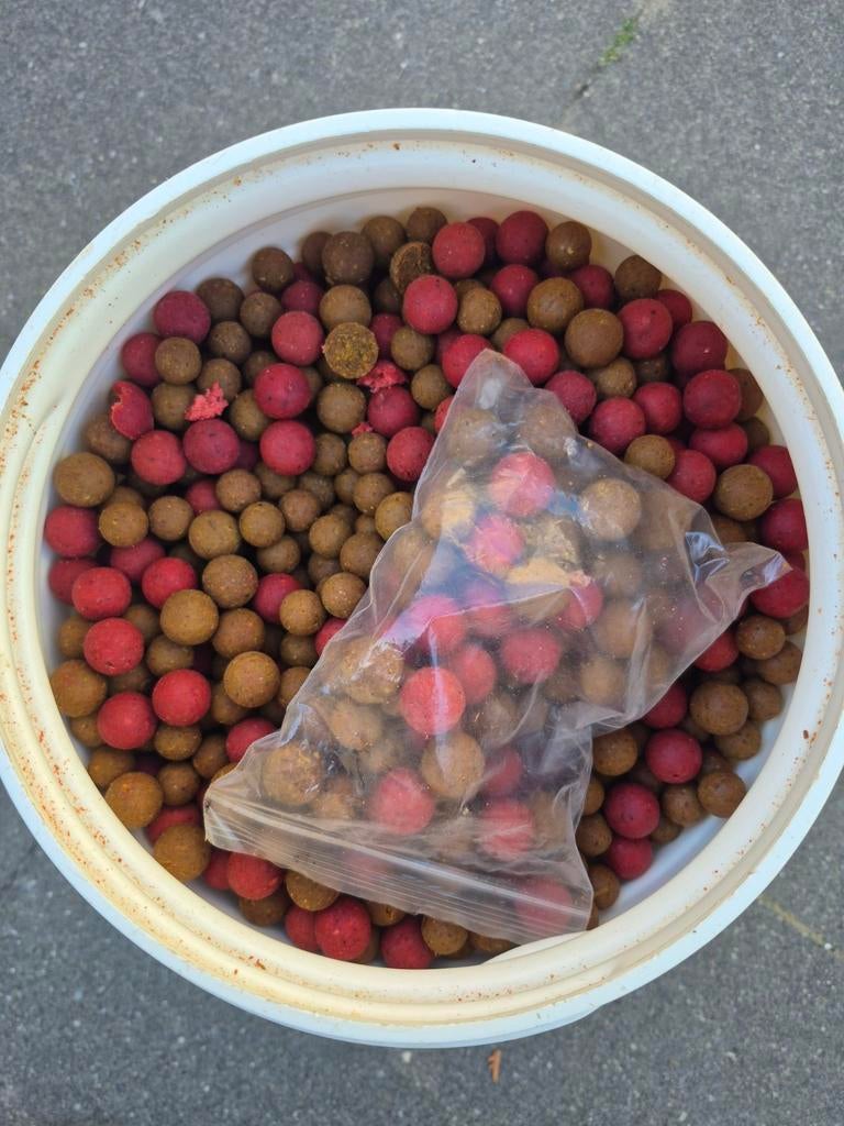 Boilies voor karpervissen - Diverse smaken, Ophalen of Verzenden, Nieuw, Kunstaas