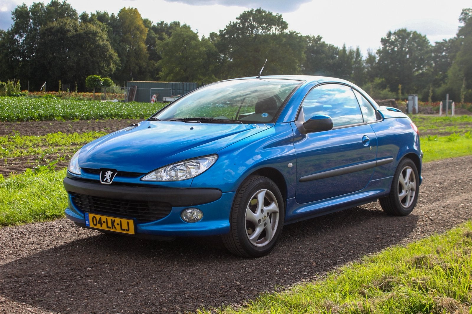 Peugeot 206 1.6 16V CC 2003 Blauw, Voorwielaandrijving, Zwart, 4 cilinders, Cabriolet